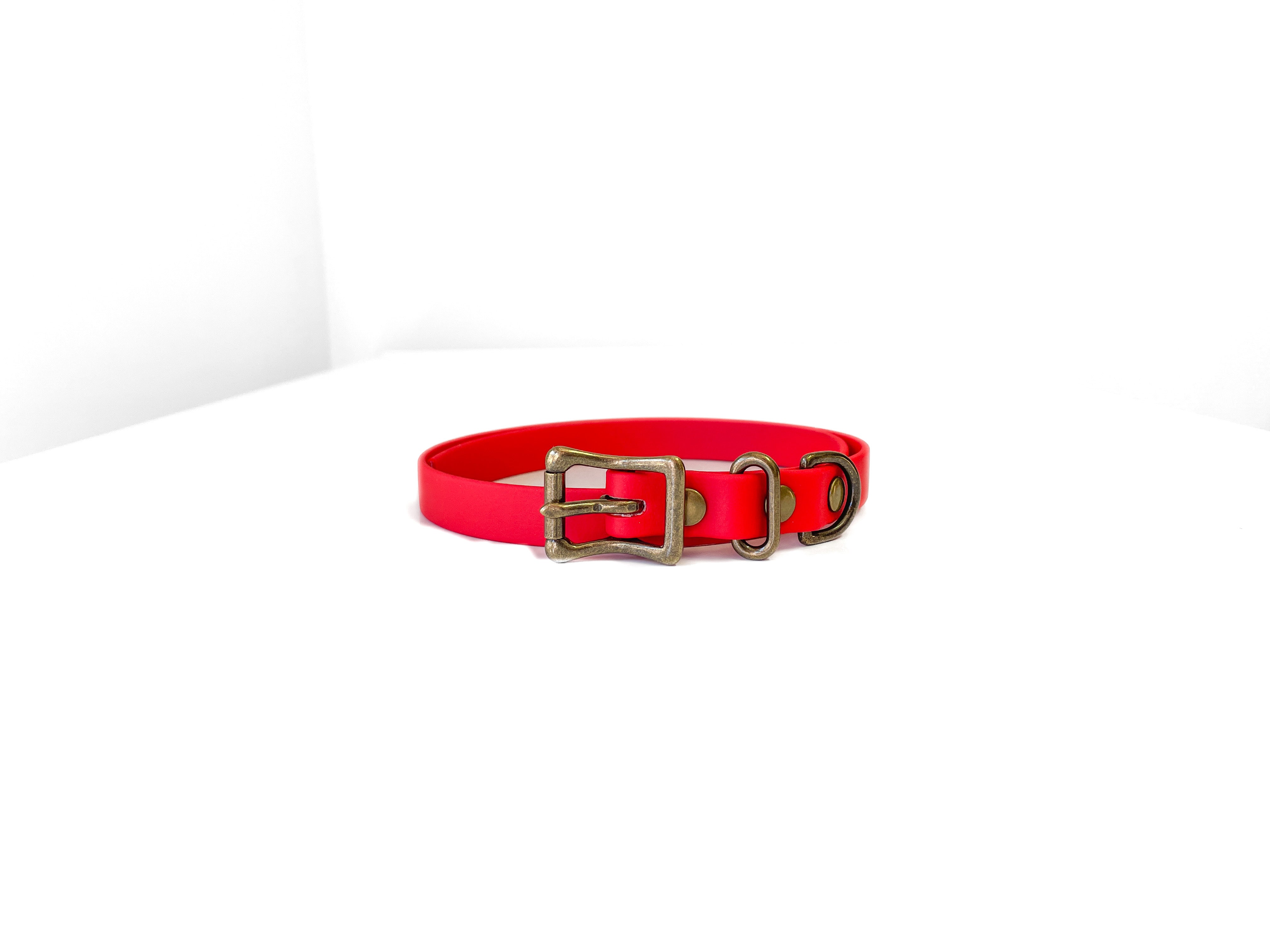 Red Collar (16mm wide)