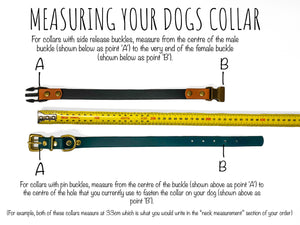 Biothane Dog Collar How to Measure